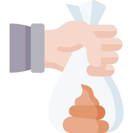 Icono PNG