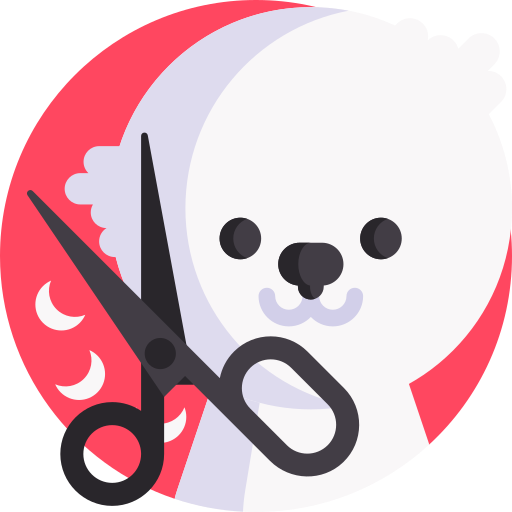 Icono PNG
