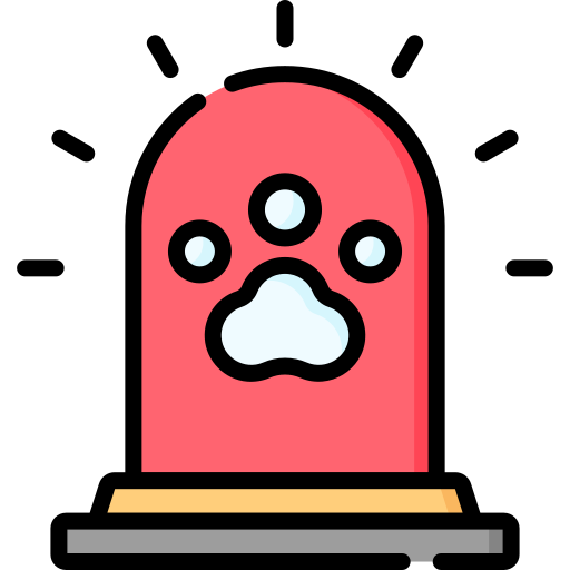 Icono PNG