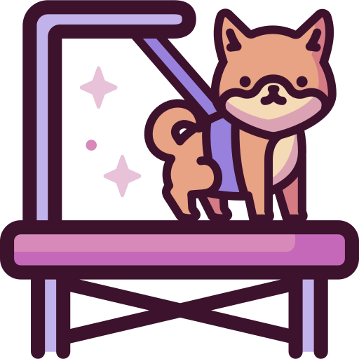 Icono PNG