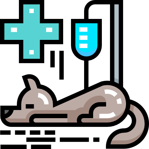 Icono PNG