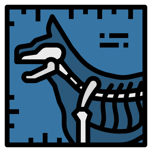 Icono PNG