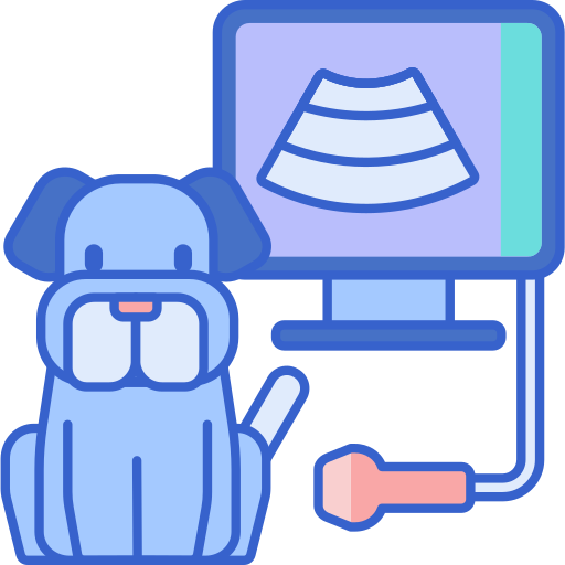 Icono PNG